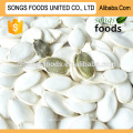 Organic pumpkin seeds in shell company